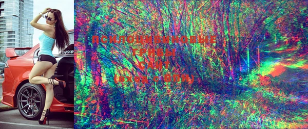 ECSTASY Белокуриха