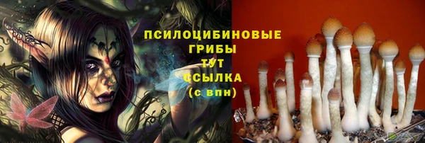 прущие крисы Беломорск