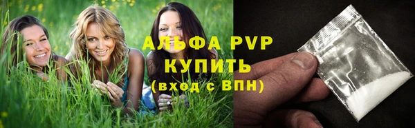 ECSTASY Белокуриха