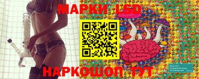 сатива Будённовск