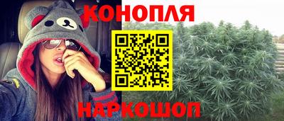 сатива Будённовск