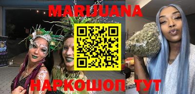 сатива Будённовск